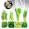 GOOPIKK Tabletop Vegetable Slicer Green Peppers Onion Celery Parsley Long Onions Shredding Chopping Slicing Cutting Machine