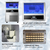 Factory Ice Cube Machine for 30kg 24h Commercial Small Maker Machine Cafe Stainless Steel Automatic Machine Factory Price